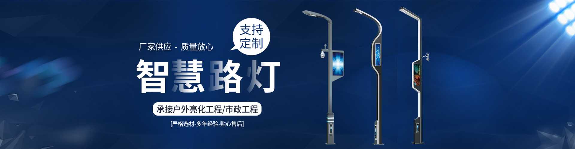 贡井区太阳能路灯定制厂家